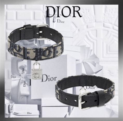 dior dog accessories for men.